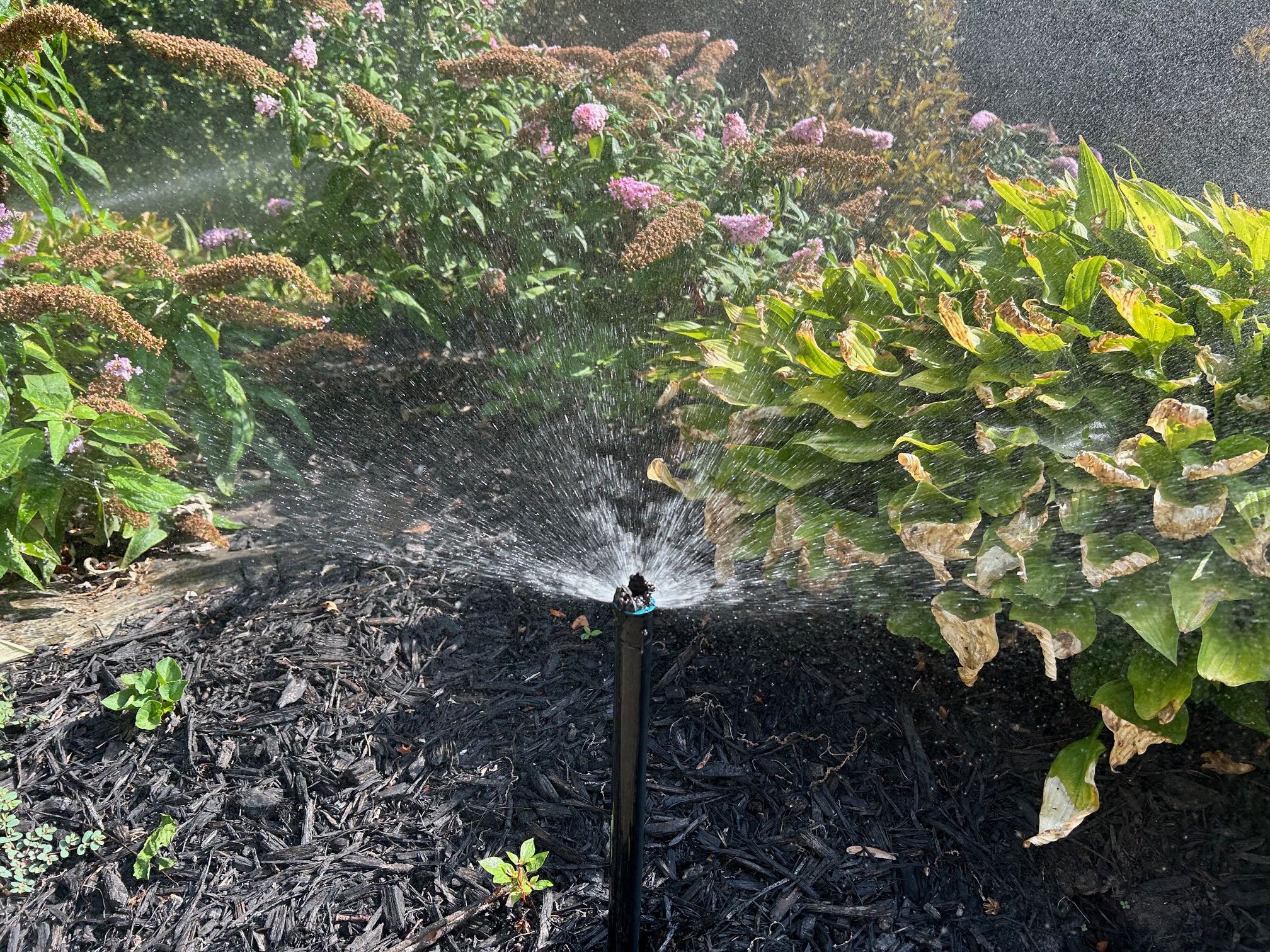 running sprinklers